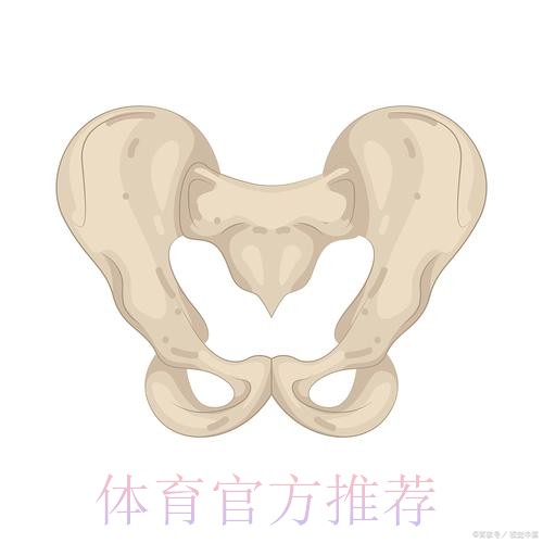 科贝电台:米利唐右腿内收肌不适 将接受检查 科贝电台:米利唐右腿内收肌不适 将接受检查